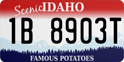 ID license plate 1B8903T