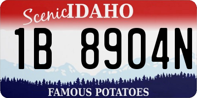 ID license plate 1B8904N