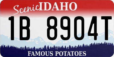 ID license plate 1B8904T