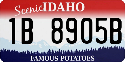 ID license plate 1B8905B