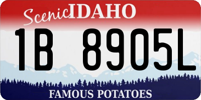 ID license plate 1B8905L