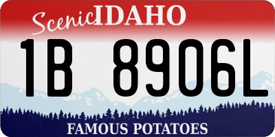ID license plate 1B8906L