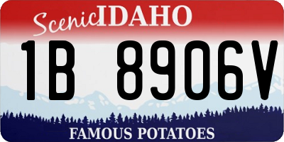 ID license plate 1B8906V