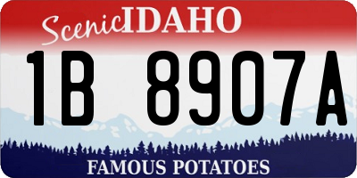 ID license plate 1B8907A