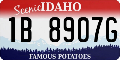 ID license plate 1B8907G