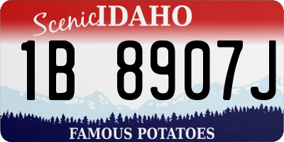 ID license plate 1B8907J