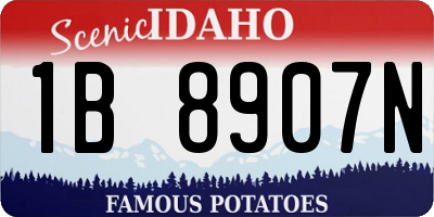 ID license plate 1B8907N