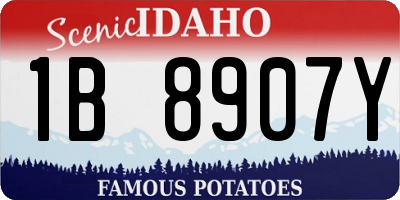 ID license plate 1B8907Y