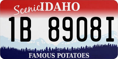 ID license plate 1B8908I