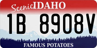 ID license plate 1B8908V