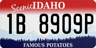 ID license plate 1B8909P