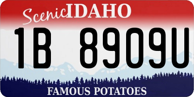 ID license plate 1B8909U
