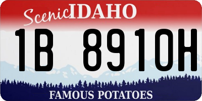 ID license plate 1B8910H