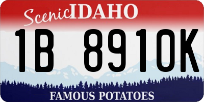 ID license plate 1B8910K