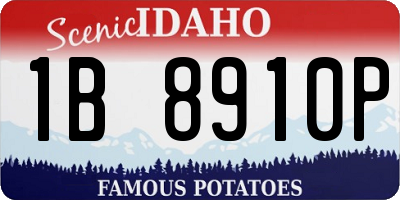 ID license plate 1B8910P