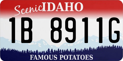 ID license plate 1B8911G