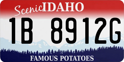ID license plate 1B8912G