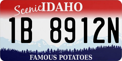 ID license plate 1B8912N