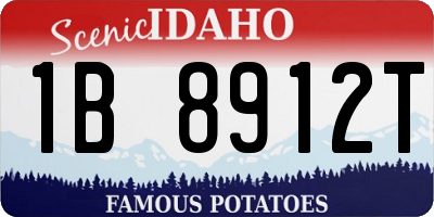 ID license plate 1B8912T