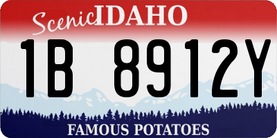 ID license plate 1B8912Y