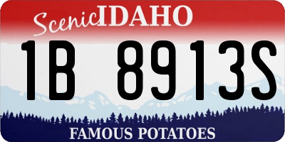 ID license plate 1B8913S