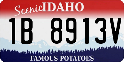 ID license plate 1B8913V