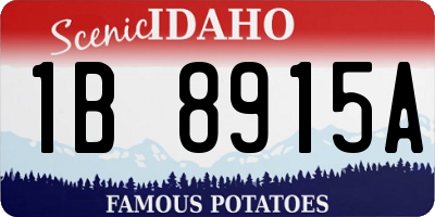 ID license plate 1B8915A