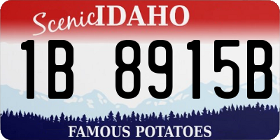ID license plate 1B8915B