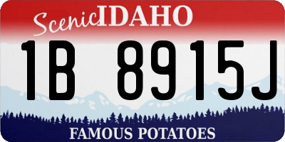 ID license plate 1B8915J