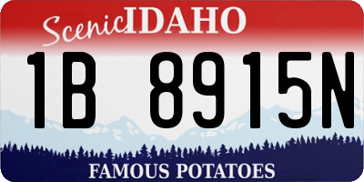 ID license plate 1B8915N