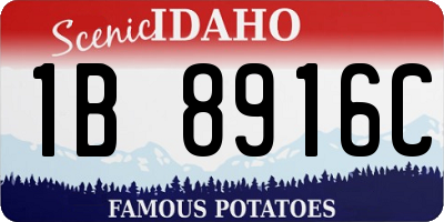 ID license plate 1B8916C