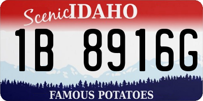 ID license plate 1B8916G