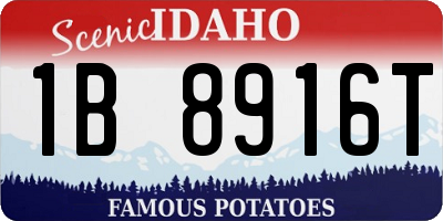 ID license plate 1B8916T