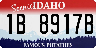 ID license plate 1B8917B