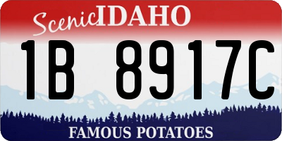 ID license plate 1B8917C