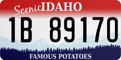 ID license plate 1B8917O