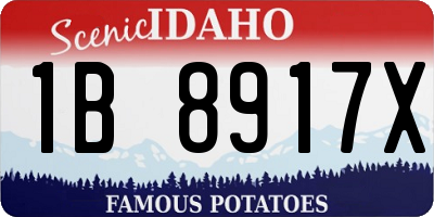 ID license plate 1B8917X