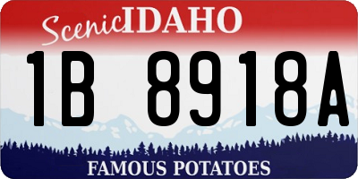 ID license plate 1B8918A