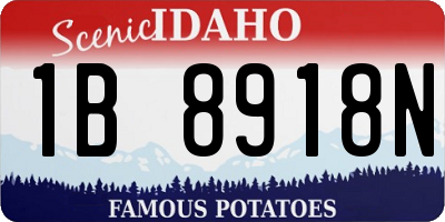 ID license plate 1B8918N