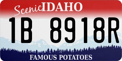 ID license plate 1B8918R