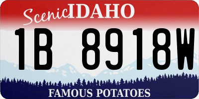 ID license plate 1B8918W
