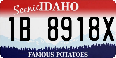 ID license plate 1B8918X