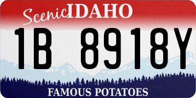 ID license plate 1B8918Y