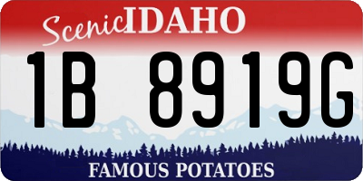 ID license plate 1B8919G