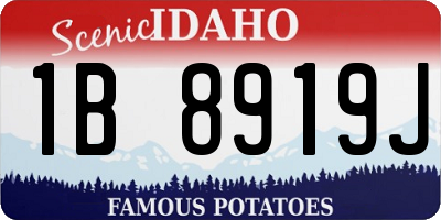 ID license plate 1B8919J