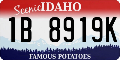 ID license plate 1B8919K