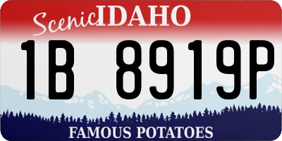 ID license plate 1B8919P