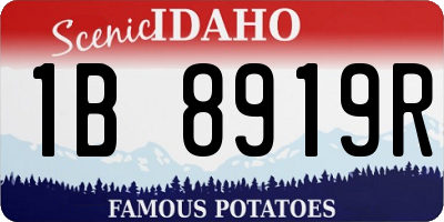 ID license plate 1B8919R