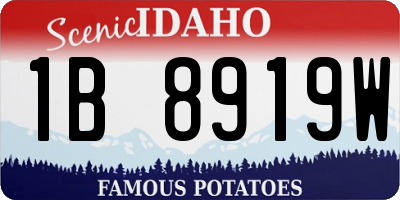 ID license plate 1B8919W