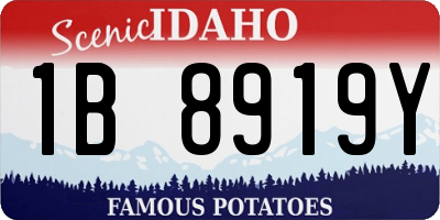 ID license plate 1B8919Y